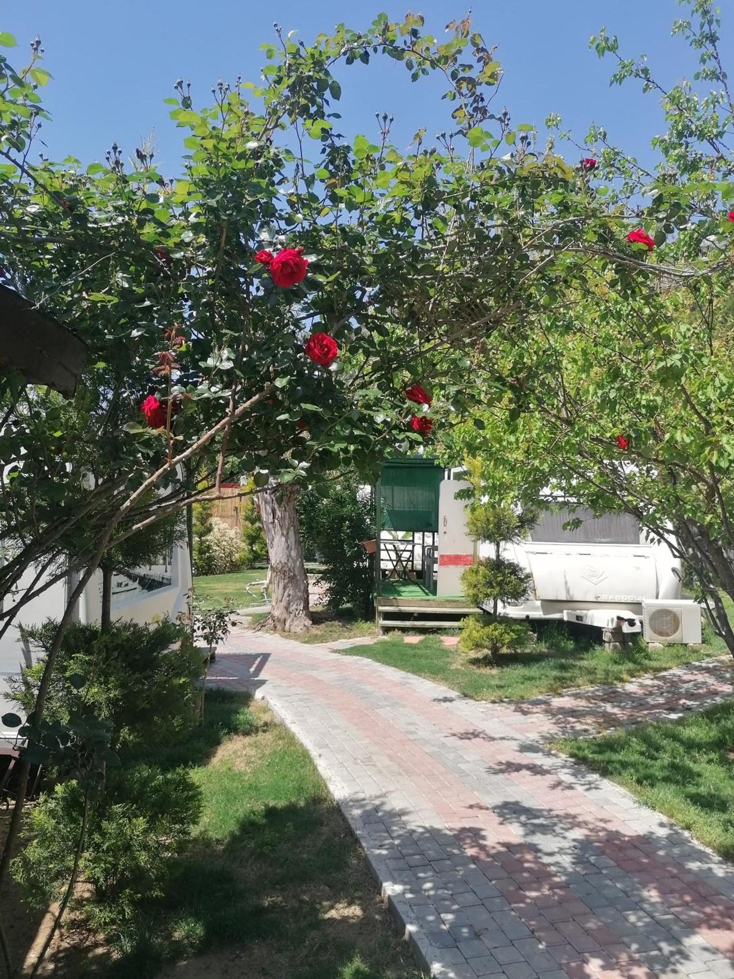 Oba Beach Hotel Oludeniz Exteriér fotografie