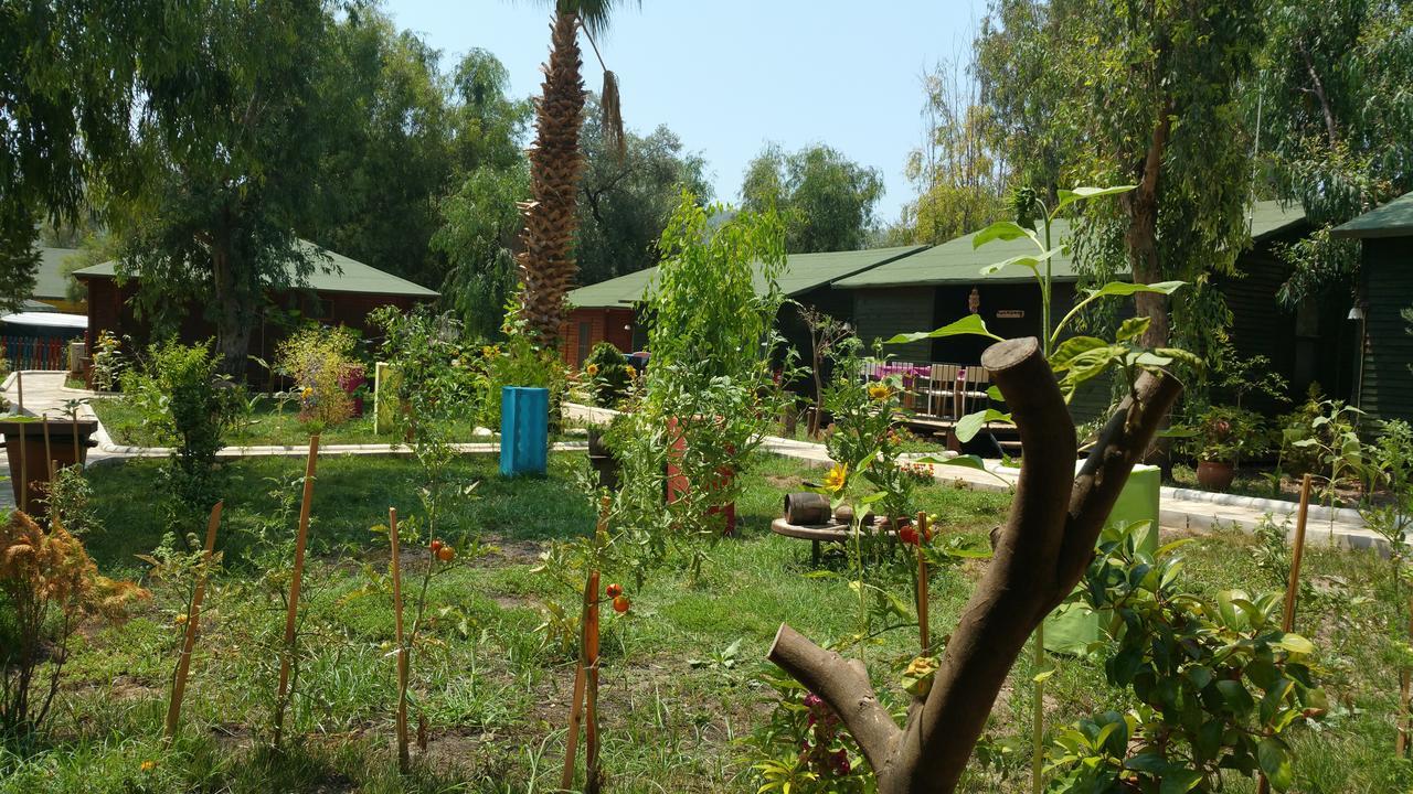 Oba Beach Hotel Oludeniz Exteriér fotografie