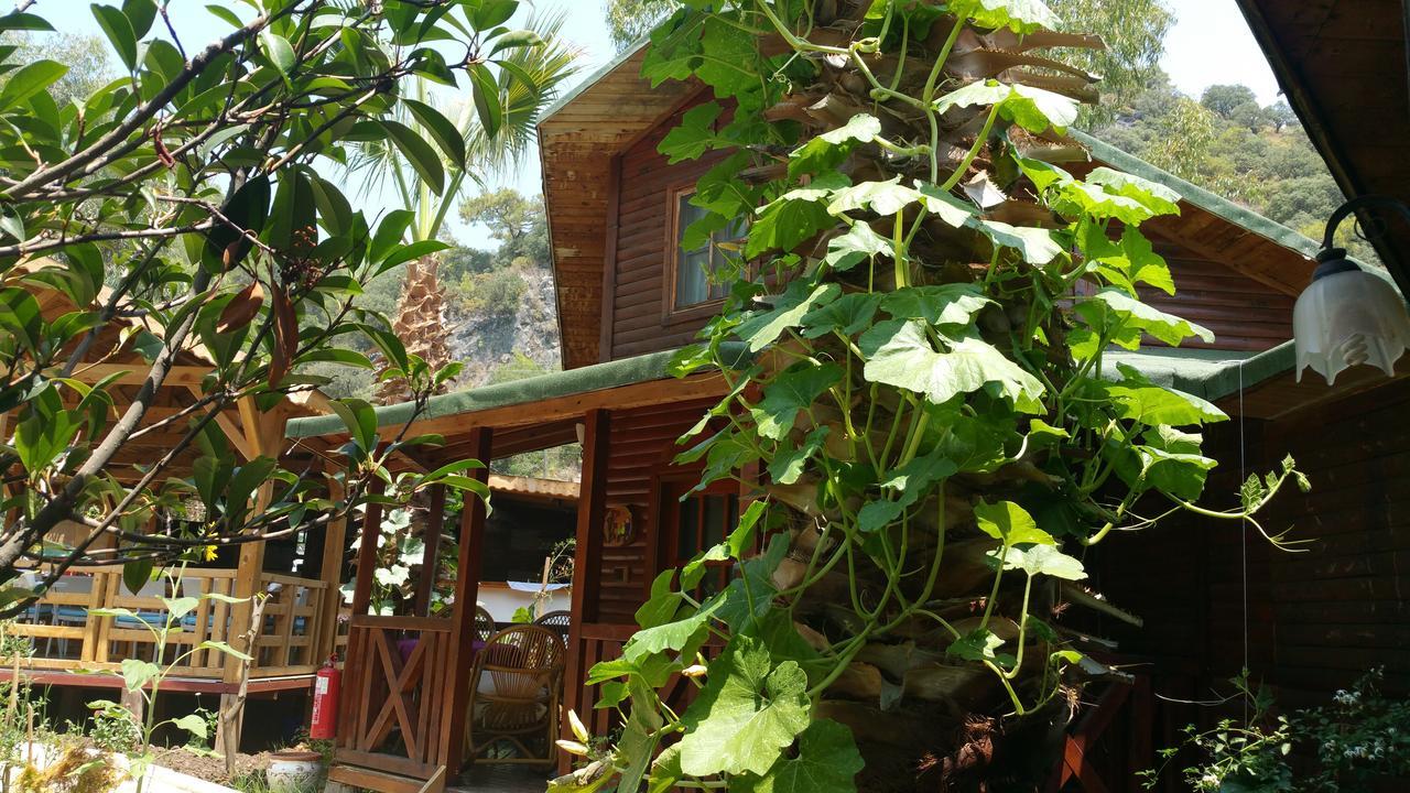Oba Beach Hotel Oludeniz Exteriér fotografie